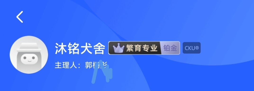 双血统冠军直系边牧宝宝，带出生纸芯片